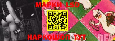 прущие грибы Донецк