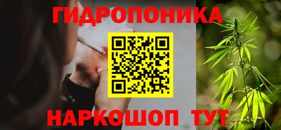 прущие грибы Донецк