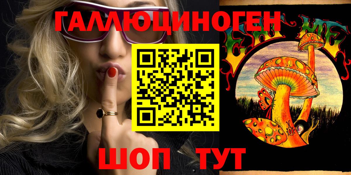 Псилоцибиновые грибы GOLDEN TEACHER  Вход с VPN  Шали 