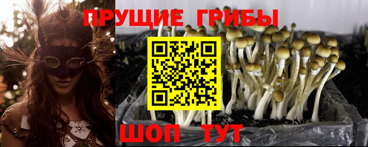 Галлюциногенные грибы мухоморы Шали